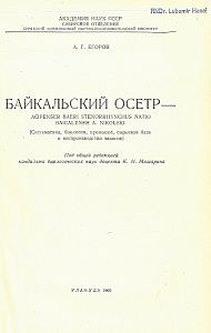 Bajkalskij ocetr