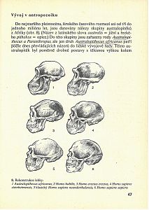 Biologie pro III. ročník gymnázií