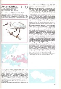 Červená kniha 1 Ptáci