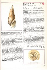 Červená kniha 3 Bezobratlí