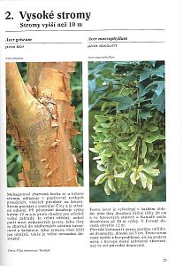 Encyklopedie stromů a keřů