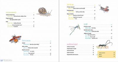 Hmyz a jiní bezobratlí