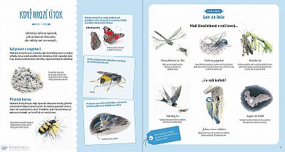 Hmyz a jiní bezobratlí