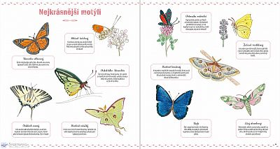 Hmyz a jiní bezobratlí