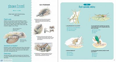 Hmyz a jiní bezobratlí