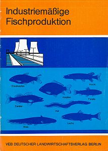 Industriemässige Fischproduktion