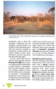 Jižní Afrika