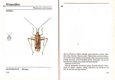 Kapesní atlas ploštic a křísů