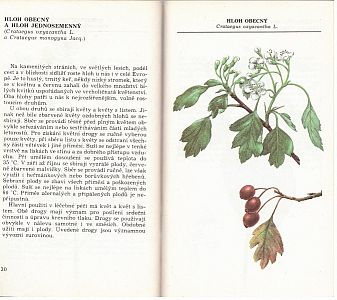 Kapesní herbář léčivých rostlin