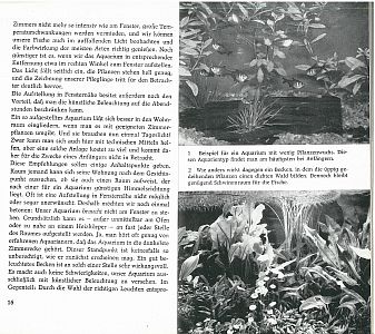 Kleine Aquarienkunde