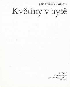 Květiny v bytě