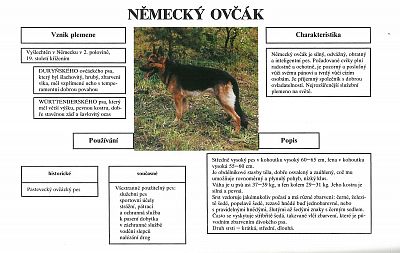 Kynologická příručka