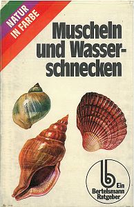 Muscheln und Wasserschnecken