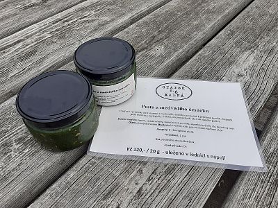 Pesto z medvědího česneku 200 g - statek Kalná 