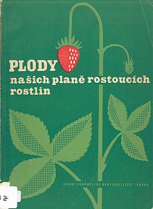 Plody našich planě rostoucích rostlin