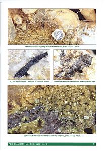 Pod Blaníkem 3/2025