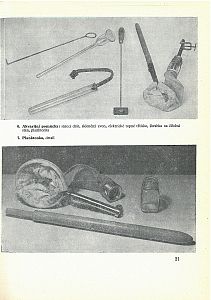 Přírodniny ve vyučování biologii a geologii