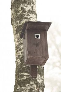 Ptačí budka - stavebnice sýkorník 1 - pro malé ptáčky