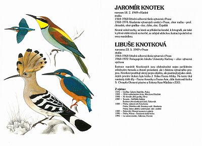 Ptáci - Okresní muzeum a galerie Jičín