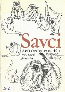 Savci