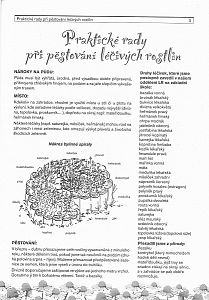 Seznamujeme se s léčivými rostlinami