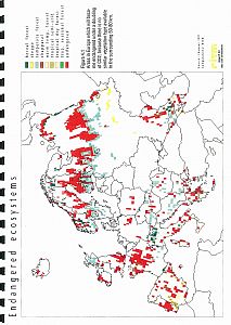 The Environment in Europe: a Global Perspective