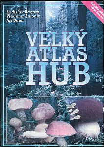 Velký atlas hub