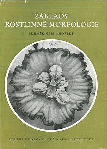 Základy rostlinné morfologie