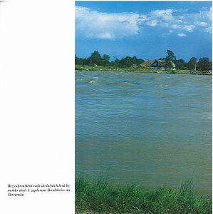 Záplavy a komáři na břeclavsku v roce 19987