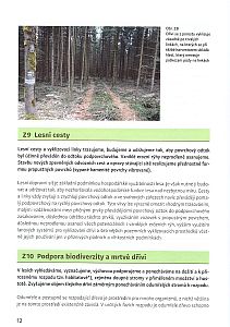 Zásady dobré praxe při obhospodařování lesů