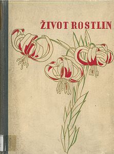 Život rostlin