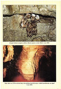 Zlatodůl Roudný u Vlašimi - 5. příloha Pod Blaníkem