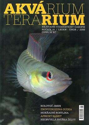 Akvárium terárium leden-únor 2008