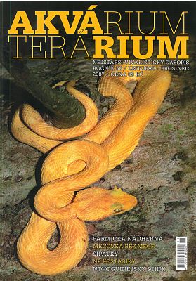 Akvárium terárium listopad-prosinec 2007