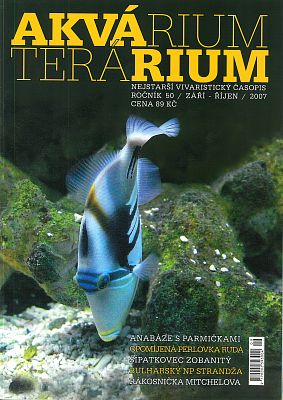 Akvárium terárium září-říjen 2007