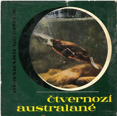 Čtvernozí australané