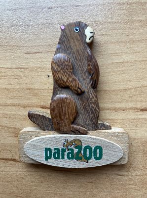 Dřevěná magnetka Bobr paraZOO