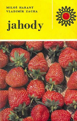 Jahody