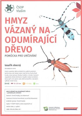 Klíč - Hmyz vázaný na odumírající dřevo