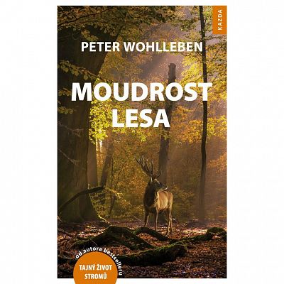 Moudrost lesa