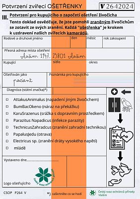 Ošetřenka lehkých zranění