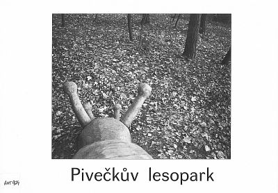 Pivečkův lesopark