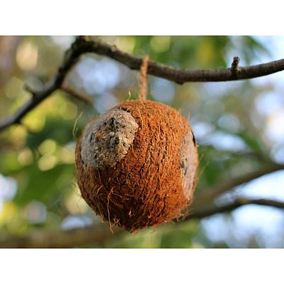 Ptačí krmítko kokos s náplní a 3 otvory