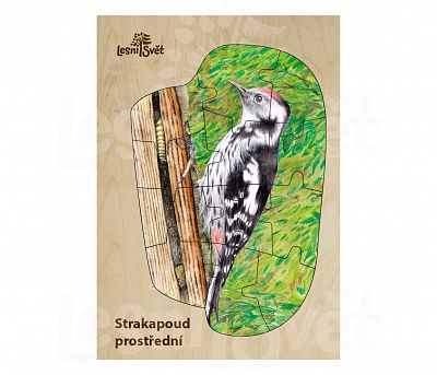 Puzzle z lesa strakapoud
