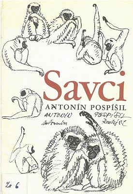 Savci