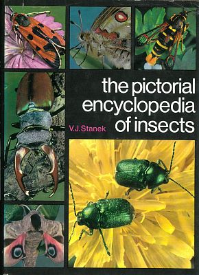 The pictorial encyclopedia of insects