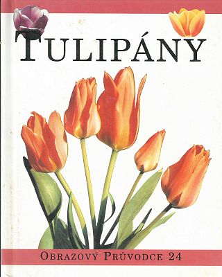 Tulipány