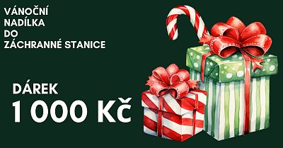 Vánoční nadílka do Záchranné stanice 1000 Kč