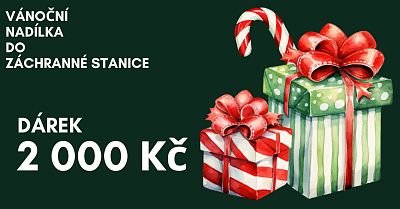Vánoční nadílka do Záchranné stanice 2000 Kč