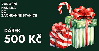 Vánoční nadílka do Záchranné stanice 500 Kč